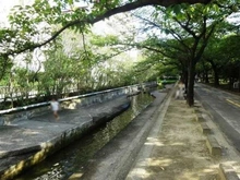 【東京都/江東区北砂】ウィルローズ住吉 仙台堀川公園（現地より約1,800m）