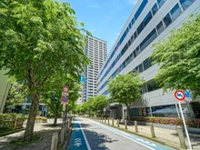 【東京都/品川区大井】ブリリア大井町ラヴィアンタワー 立会道路の並木（現地より約210m）