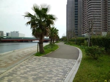 【東京都/江東区東雲】ビーコンタワーレジデンス  潮風の散歩道（現地より約350m）