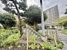 【東京都/江東区枝川】グランシティレディアント東京イースト 朝凪公園（現地より約550m）