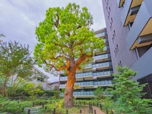 【東京都/板橋区大山町】ザ・パークハウス板橋大山大楠ノ杜 敷地内:翠園(中庭)