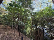 【東京都/港区高輪】アルス高輪桂坂 眺望