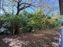 【東京都/港区高輪】アルス高輪桂坂 眺望