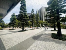 【東京都/江東区豊洲】シティタワーズ豊洲ザ・ツイン　サウスタワー アプローチ