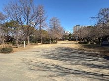 【東京都/中央区東日本橋】メインステージ東日本橋II 浜町公園（現地より約400m）