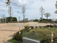 【神奈川県/川崎市幸区戸手】アクアリーナ川崎ロッソタワー 戸手四丁目公園（現地より約160m）