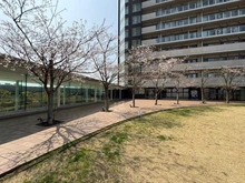 【神奈川県/川崎市川崎区港町】リヴァリエB棟 敷地内