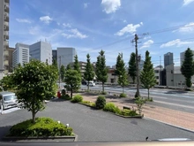 【神奈川県/川崎市幸区幸町】グレイスガーデン多摩川 眺望