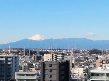 【神奈川県/川崎市幸区中幸町】クレッセント川崎タワー 眺望：ズームあり