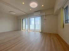 【神奈川県/川崎市幸区柳町】プラウド川崎柳町 LDK
