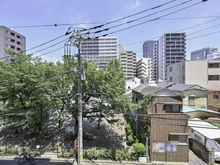 【神奈川県/川崎市幸区南幸町】クラッセ川崎 眺望：眼前に公園の緑が広がる開放的な眺望