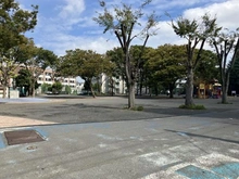 【神奈川県/川崎市中原区上平間】クレッセント新川崎エグゼ 平間公園（現地より約10m）：