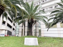 【神奈川県/川崎市川崎区小田栄】アイランドブリーズ マンション表札