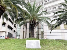 【神奈川県/川崎市川崎区小田栄】アイランドブリーズ マンション表札