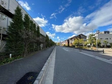 【大阪府/茨木市大池】プラウドシティ茨木　Avenue Court 前面道路