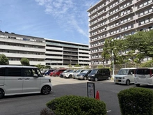 【大阪府/大阪市城東区関目】すみれ橋第一コーポ 一号棟 駐車場