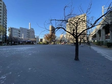 【東京都/品川区南大井】ハイホーム南大井 みなみ児童遊園第１（現地より約127m）