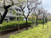 【東京都/江戸川区西葛西】コンドミニアム葛西 眺望：バルコニーから（真南側の望む）