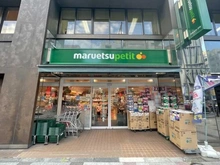 【東京都/港区芝】パークハウス芝タワー マルエツプチ三田二丁目店（現地より約570m）