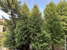 【東京都/大田区山王】プラウド山王二丁目 眺望