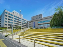 【東京都/品川区大井】ブリリア大井町ラヴィアンタワー 品川区役所（現地より約240m）：