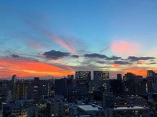 【東京都/品川区東品川】グランドメゾン品川シーサイドの杜 眺望