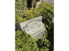 【東京都/墨田区立花】モア・ステージ墨田ラシェール マンション表札