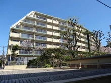 【東京都/杉並区和田】富士見ハイム北棟 外観