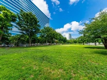 【東京都/中野区中野】グランツオーベル中野 中野区立中野四季の森公園（現地より約730m）
