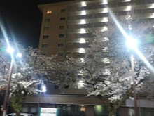 【神奈川県/横浜市青葉区美しが丘】たまプラーザ駅前分譲共同ビル 外観