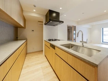 【東京都/新宿区南町】ディアパーク市ヶ谷南町 キッチン：前面オープンタイプのキッチンです