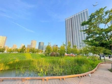 【東京都/港区芝浦】芝浦アイランドケープタワー 港区立芝浦中央公園（現地より約860m）