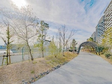 【東京都/中央区晴海】HARUMI FLAG SEA VILLAGE 晴海フラッグ A棟 晴海緑道公園（現地より約30m）