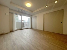 【東京都/中央区月島】アイ・マークタワー LDK