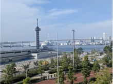 【東京都/中央区晴海】HARUMI FLAG PARK VILLAGE F棟 眺望：ズーム無
