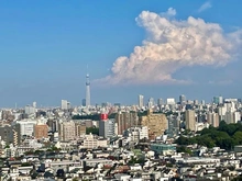 【東京都/豊島区東池袋】エアライズタワーライズアリーナビル 眺望：ズーム有