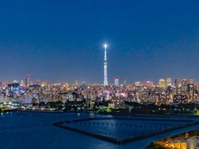【東京都/中央区晴海】パークタワー晴海 眺望：夜景：ズーム有