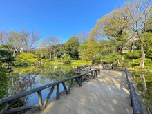 【東京都/渋谷区広尾】広尾ガーデンヒルズ O棟 有栖川宮記念公園（現地より約750m）