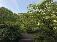 【東京都/渋谷区広尾】広尾ガーデンヒルズノースヒル O棟 眺望：洋室から