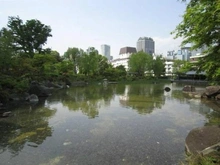 【東京都/港区六本木】六本木アーバンレックス 檜町公園（現地より約650m）