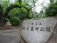 【東京都/中野区松が丘】エミール松ヶ丘  中野区立新井薬師公園（現地より約650m）