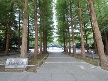 【東京都/文京区大塚】藤和護国寺コープ 東池袋中央公園（現地より約1,000m）