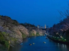 【東京都/新宿区市谷本村町】ザ・パークハウス市ヶ谷 千鳥ヶ淵（現地より約1,780m）