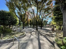 【東京都/新宿区東五軒町】ブラントン神楽坂 白銀公園（現地より約180m）