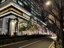 【東京都/千代田区富士見】ファミールシティレジデンス 飯田橋サクラテラス（イルミネーション）（現地より約400m）