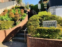 【東京都/文京区水道】オープンレジデンシア飯田橋 小日向公園（現地より約550m）