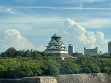 【大阪府/大阪市都島区片町】プラウド大阪城 眺望：南側眺望（ズームあり）