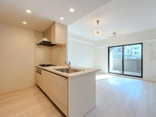 【大阪府/大阪市天王寺区寺田町】プレイズ天王寺 ダイニングキッチン