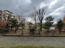 【大阪府/吹田市桃山台】千里桃山台団地 A1棟 眺望