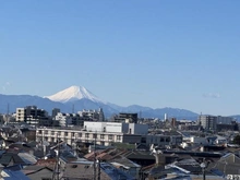 【東京都/練馬区下石神井】ライオンズグローベル石神井公園 眺望：ズームあり